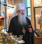 О выборах