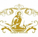 Катехизация в секулярном мире. Проблемы восприятия православной традиции